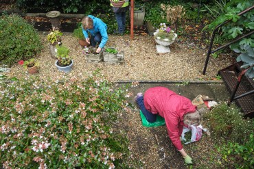 Two older women work together in a community garden.